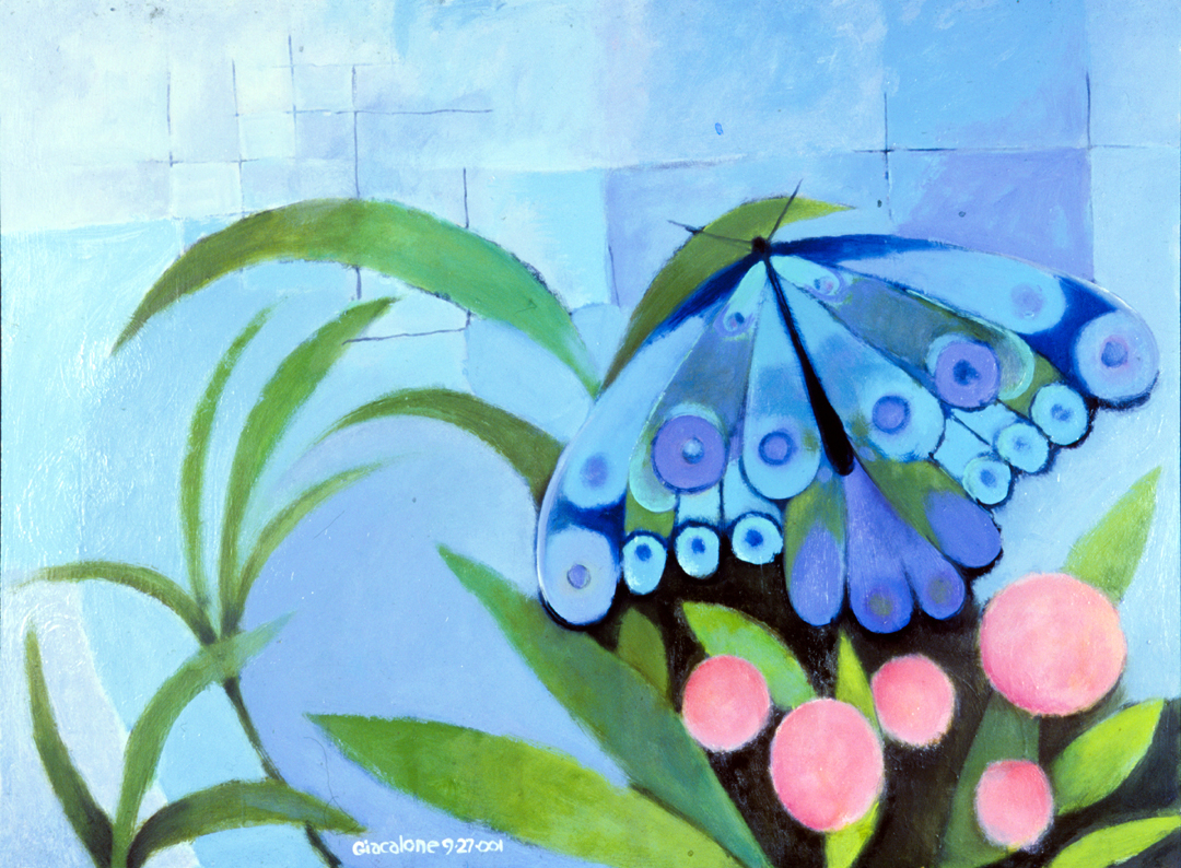 blue butterfly 2